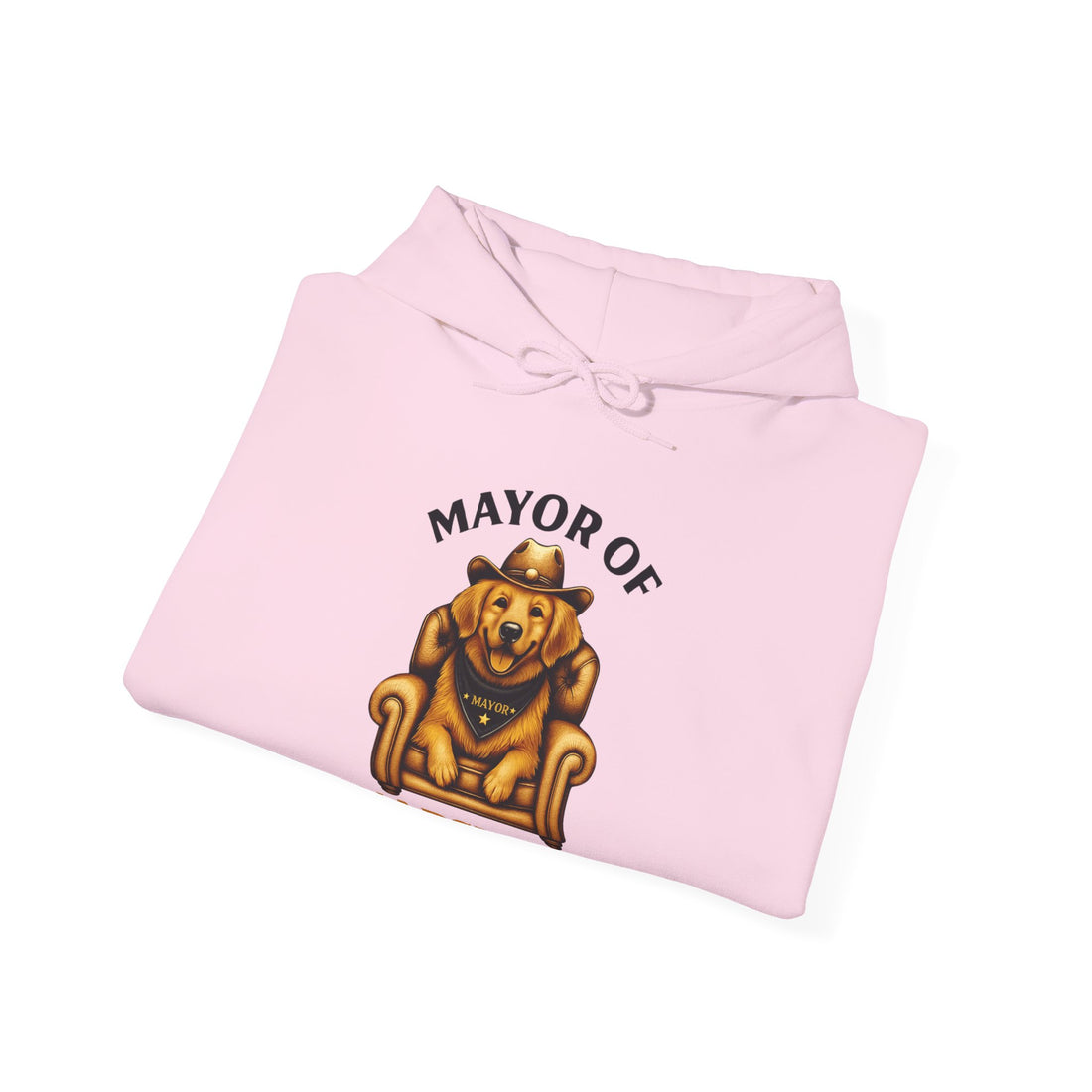 Mayor of Napsville Hoodie